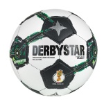 Derbystar Leisure Ball DFB MINIball Brilliant v25 (Circumference: 47cm) white/black/green - 1 piece